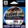 Fluoro Big Rock -Negozio Di Pesca 0048654 fluoro big rock