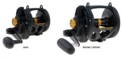 Alternative view of PENN Squall Lever Drag 2-Speed