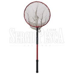 UT Net II