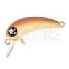 Barbie SS 1 Barbie SS -Negozio Di Pesca 0057427 barbie ss