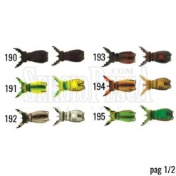Alternative view of Molix Supernato Beetle