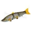 Jackson Primal 164S -Negozio Di Pesca 0063231 primal 164s