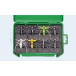 Alternative view of Evergreen Fact Gizmo Box