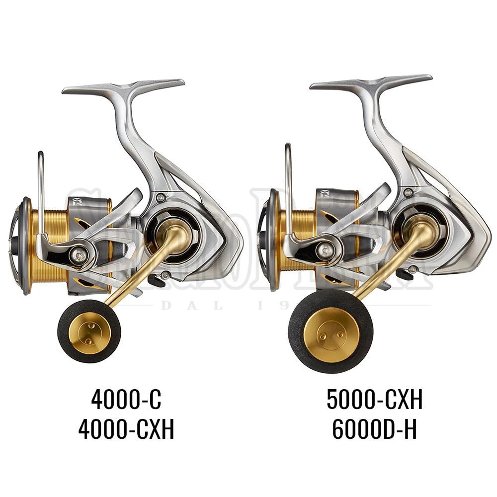 Daiwa Freams LT 2021 5 Daiwa Freams LT 2021 - immagine 3