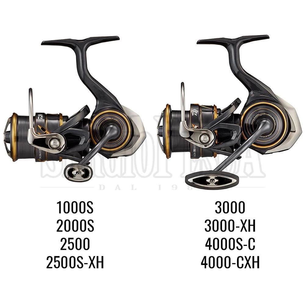 Daiwa Caldia LT 2021 4 Daiwa Caldia LT 2021 - immagine 2
