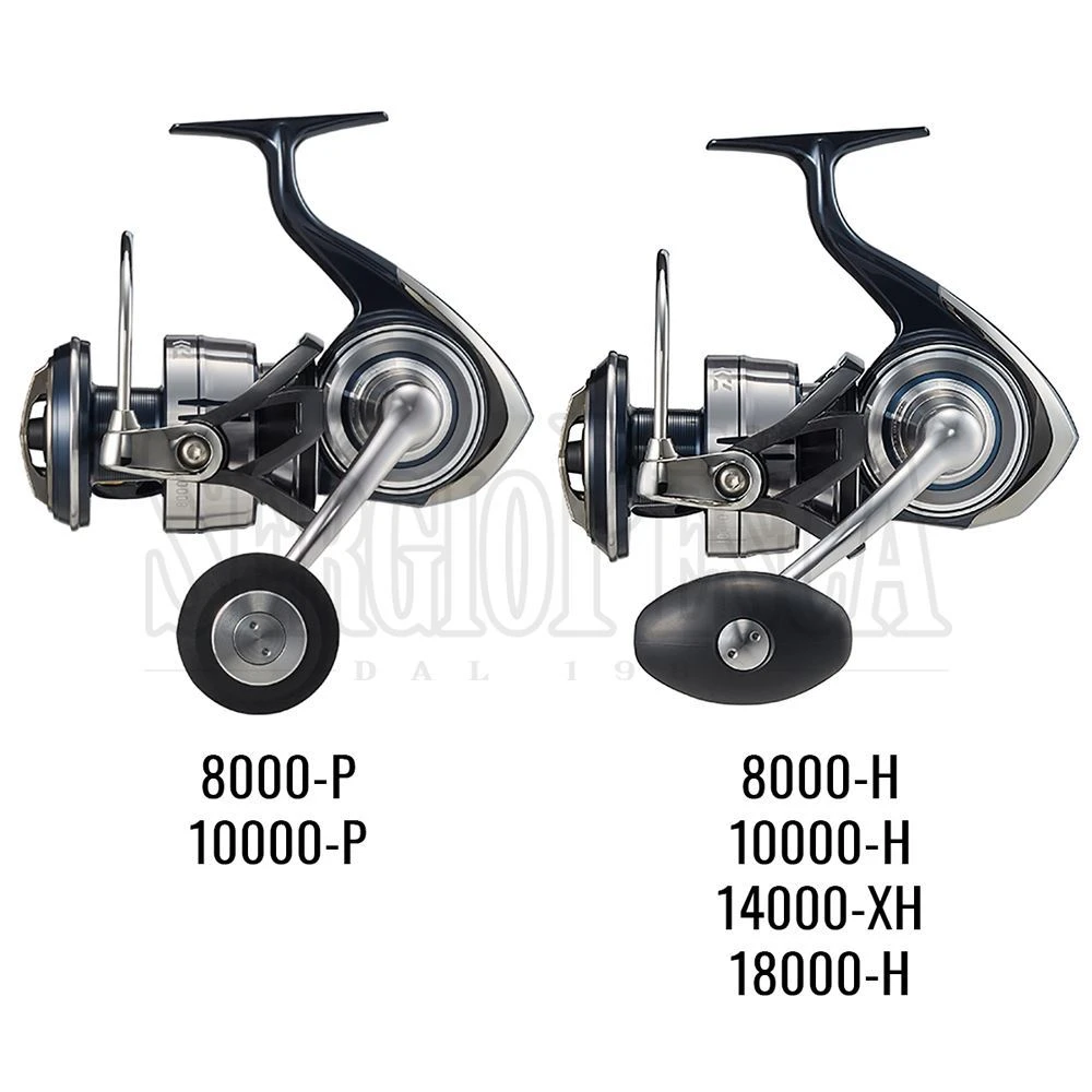 Daiwa Certate SW 5 Daiwa Certate SW - immagine 3