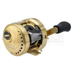 Alternative view of Shimano Calcutta Conquest A