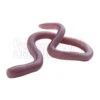 MMZ 2 MMZ -Negozio Di Pesca 0068344 mmz