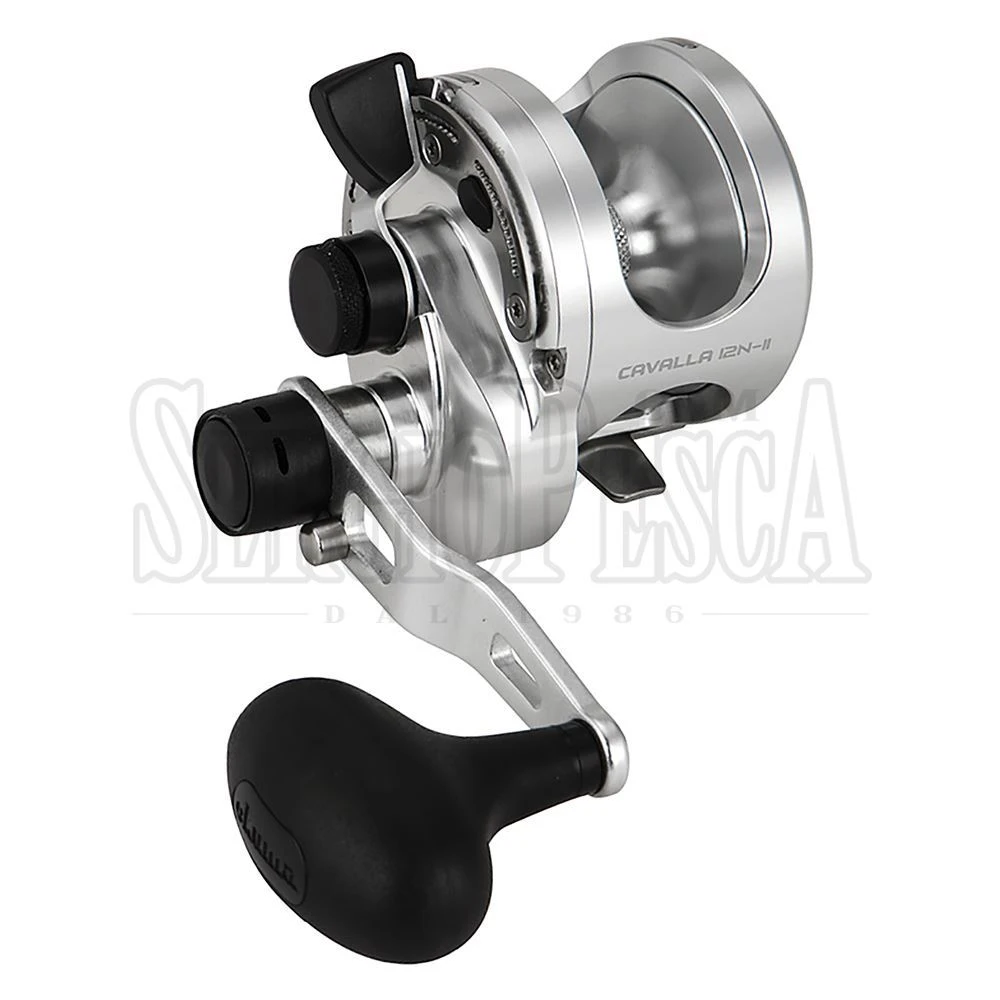 Okuma Cavalla 4 Okuma Cavalla - immagine 2