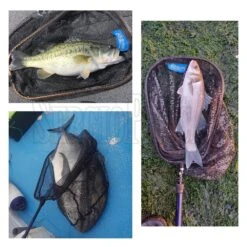 Tamun 7 Tamun -Negozio Di Pesca 0071588 tamun